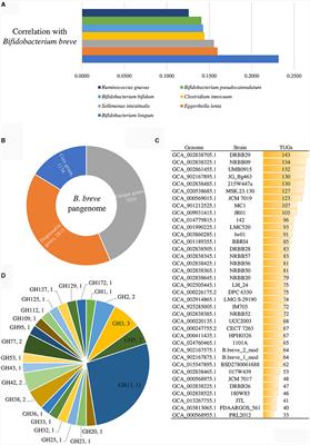 Genomic and ecological approaches to identify the Bifidobacterium breve prototype of the healthy human gut microbiota